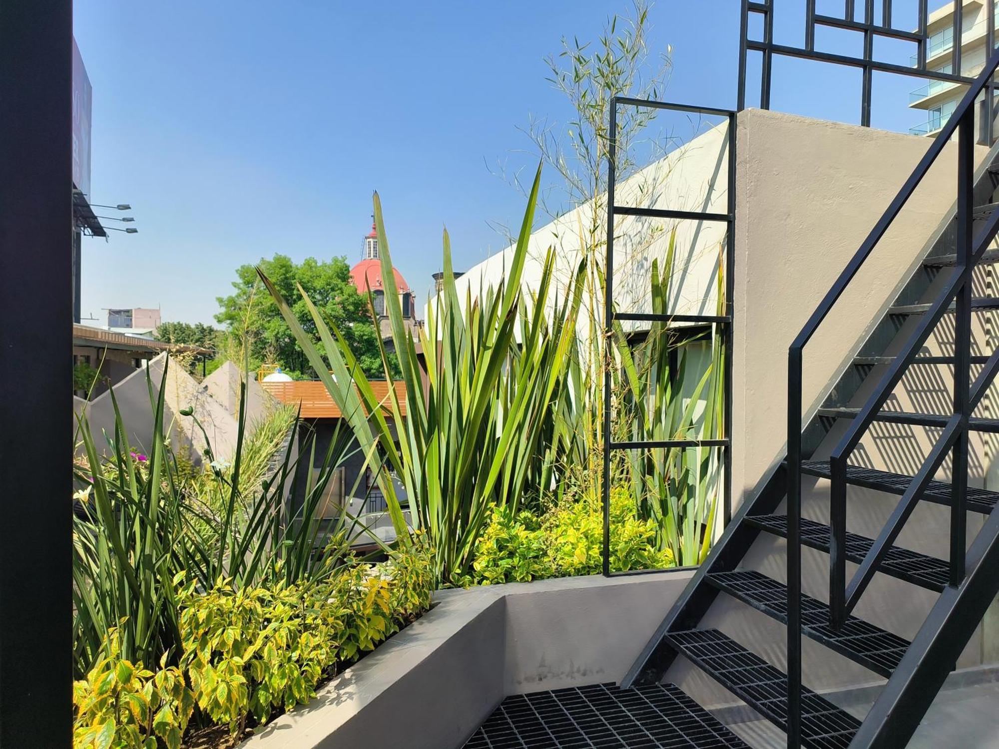 Flats Friends Condesa-Pelotari Leilighet Mexico by Eksteriør bilde